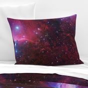 Purple Galaxy (Horsehead Nebula)