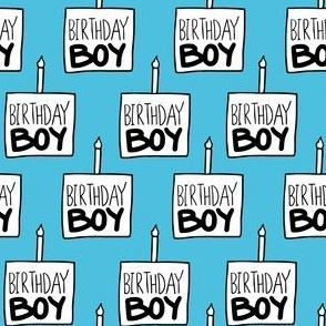 Birthday Boy Fabric, Wallpaper and Home Decor | Spoonflower