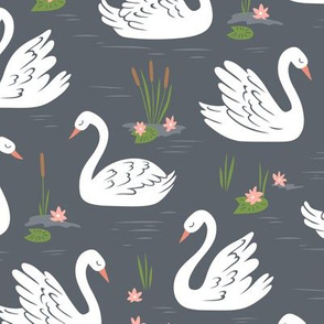 Swans on Dark Grey