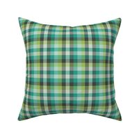 Madras plaid - teal and oolong