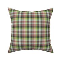 Madras plaid - terracotta and oolong