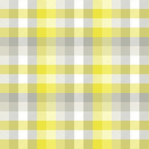 sunny morning Madras plaid