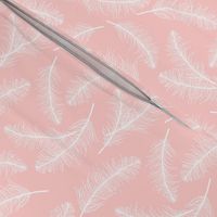 Feathers on pink