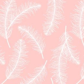 Feathers on pink