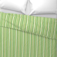 Yellow and Green Candy Stripe