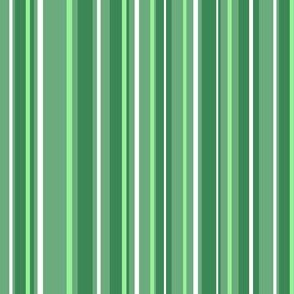 Green Candy Stripes