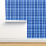 serene blue Madras plaid