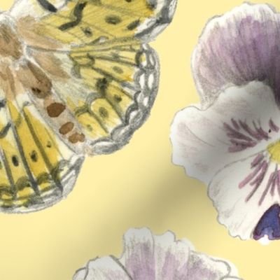 Pansy and Butterflies