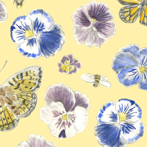 Pansy and Butterflies