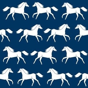 horses // navy blue kids horse farm ranch