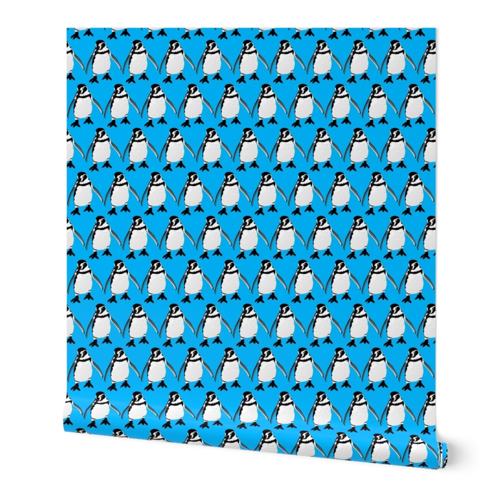Smiling Humboldt Penguin in blue