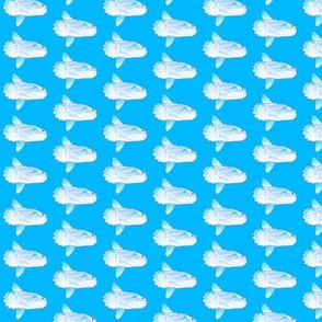 Molas in blue