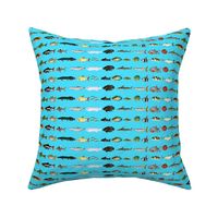 23 Amazon River Fishes on blue
