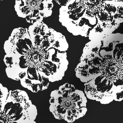 Floral in Black and White