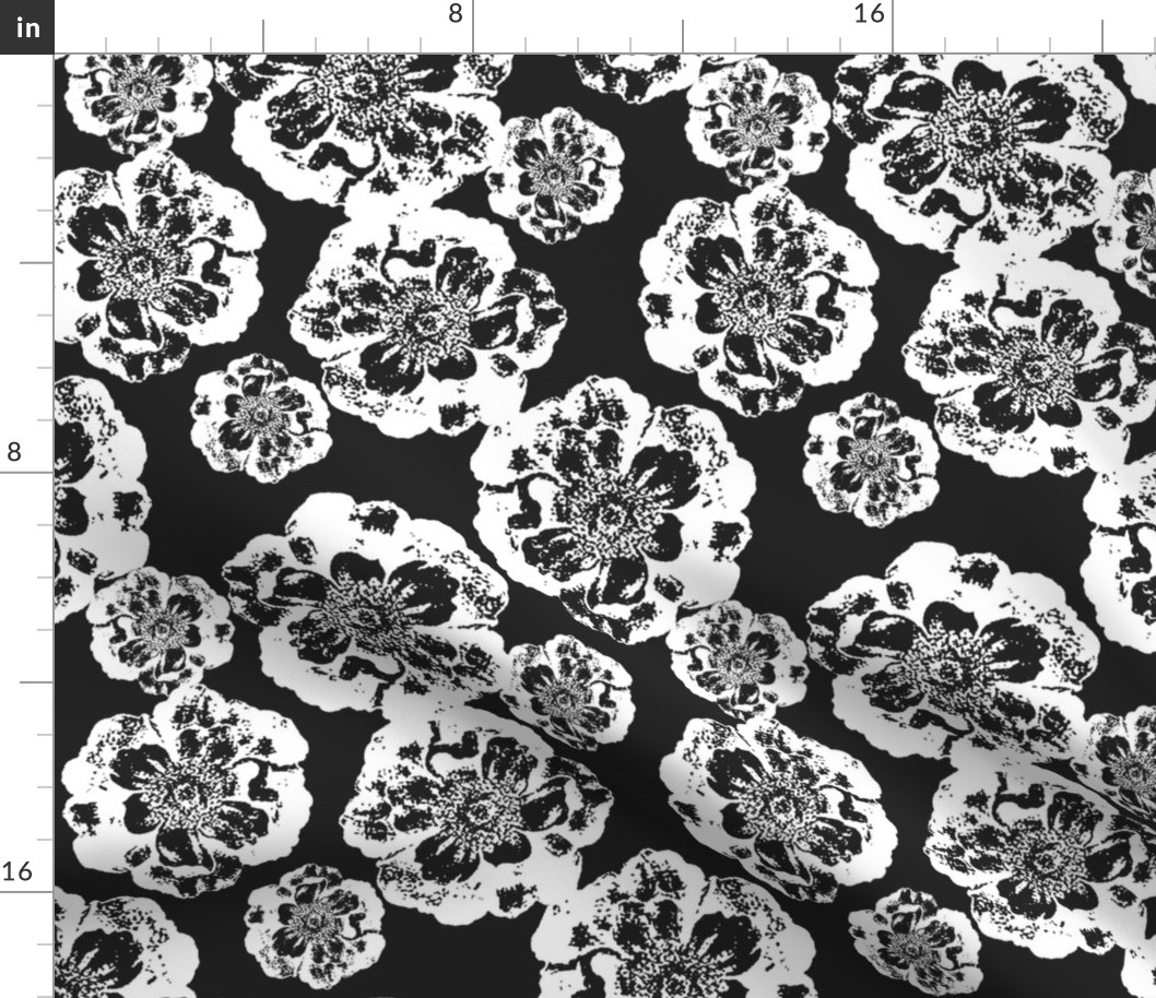 Floral in Black and White