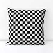 One Inch Black and White Checkered