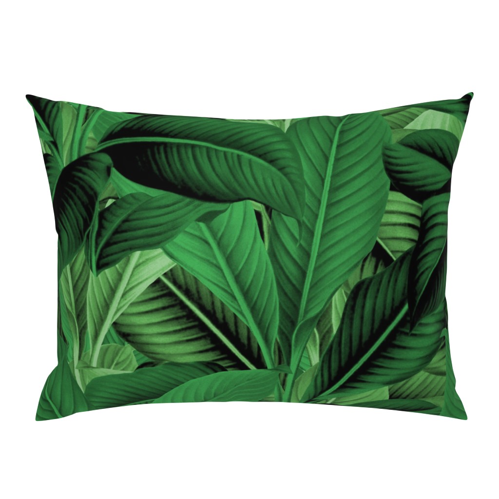 Palm In Palm ~ Jungle Green 