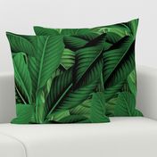 Palm In Palm ~ Jungle Green 