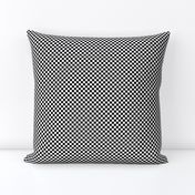 Quarter Inch Black and White Checkered