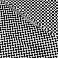 Quarter Inch Black and White Checkered