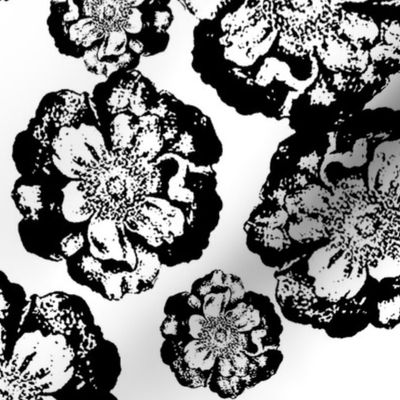 Black and White Floral on White