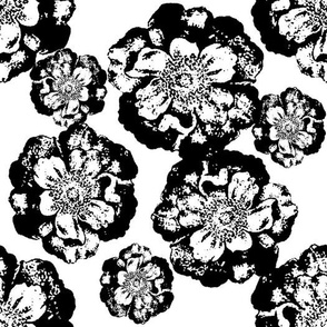 Black and White Floral on White