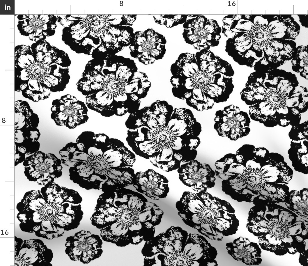 Black and White Floral on White