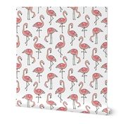 Flamingos