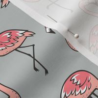 Flamingos on Grey