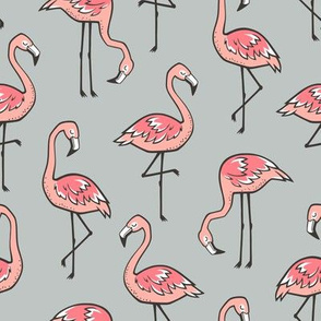 Flamingos on Grey