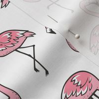 Flamingos Pink