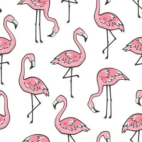 Flamingos Pink