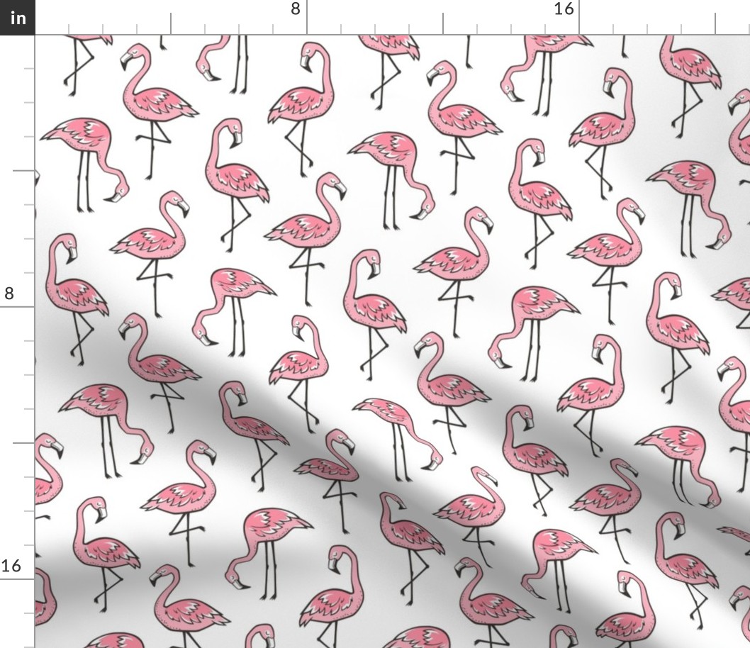 Flamingos Pink