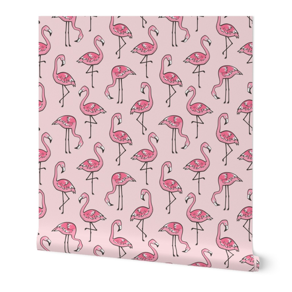 Flamingos in Pink