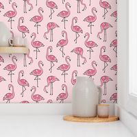 Flamingos in Pink