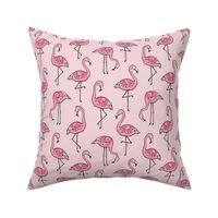 Flamingos in Pink