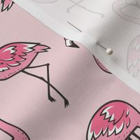 Flamingos in Pink