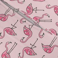 Flamingos in Pink