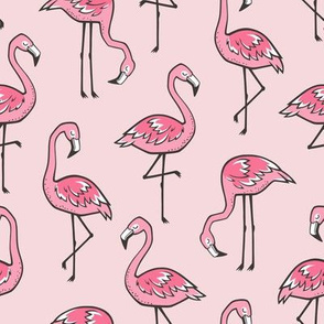 Flamingos in Pink