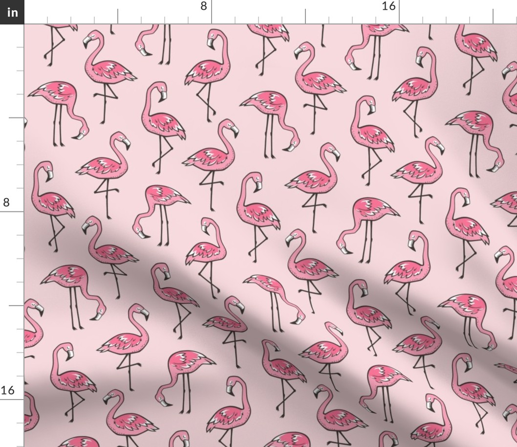 Flamingos in Pink