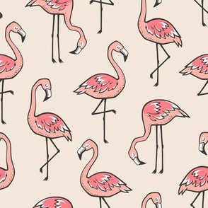 Flamingos in Peach