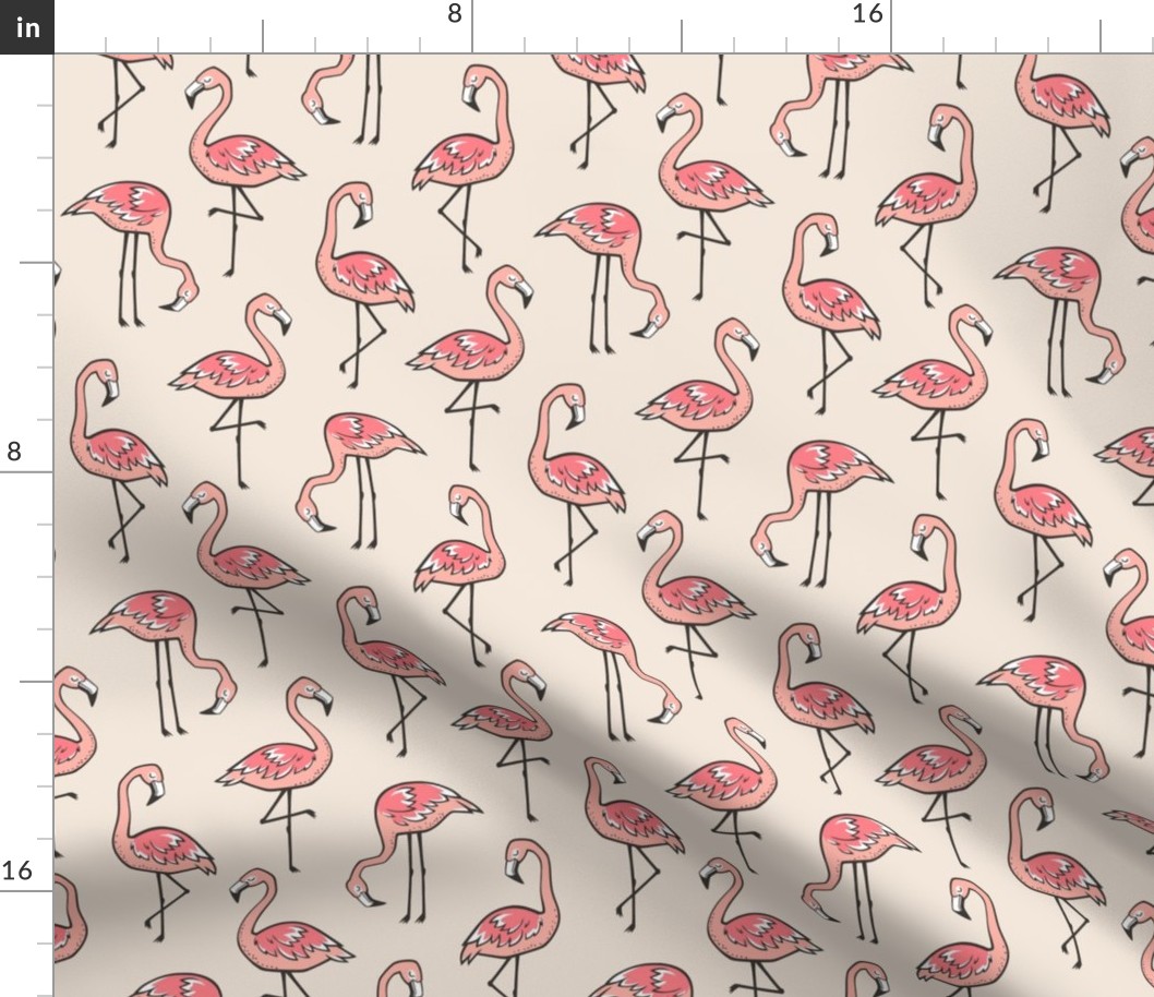 Flamingos in Peach