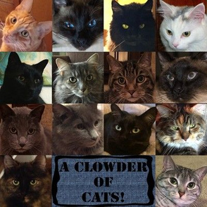 Clowder of Cats