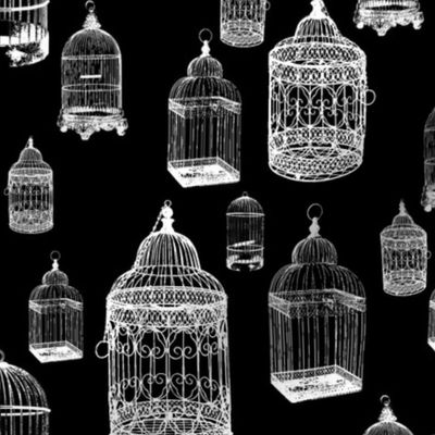 Antique Bird Cages on Black - Large