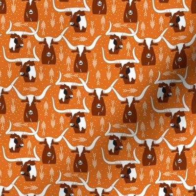 Texas Longhorns Orange