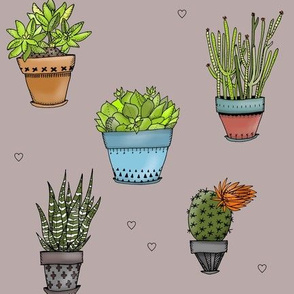 Succulents + Hearts 