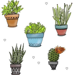 Succulents with Hearts