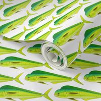 Mahi-Mahi Dolphinfish pattern