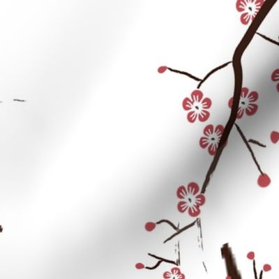 Cherry Blossom Flower Branches