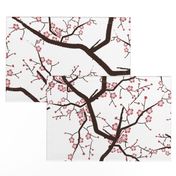 Cherry Blossom Flower Branches